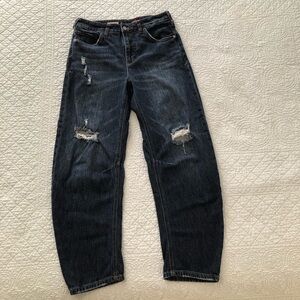 Anthropologie Pilcro The Bow barrel boyfriend jeans. Women’s size 27.